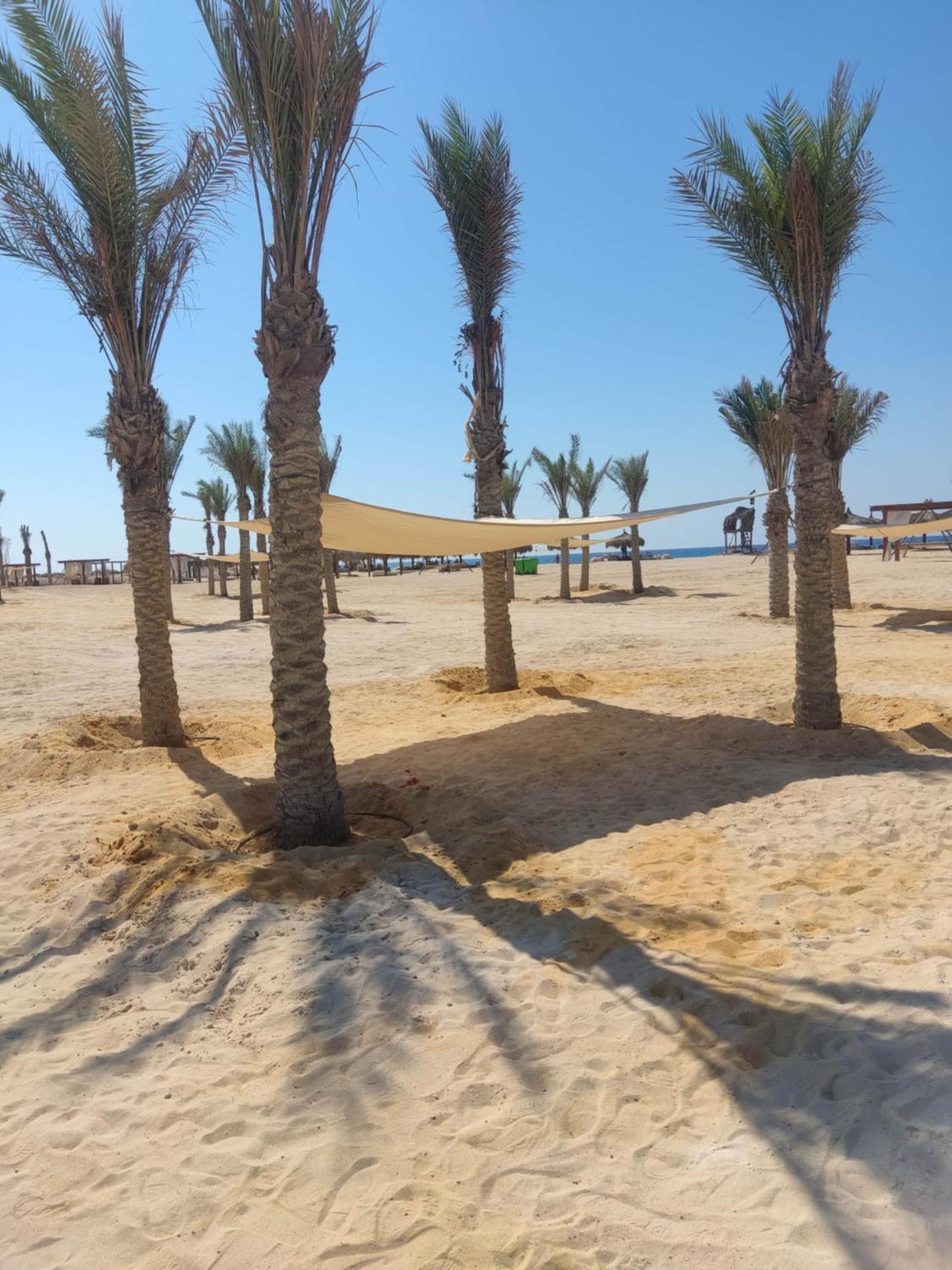 D-Bay North Coast Hotel Zawiyat 'abd al Mun'im Kültér fotó